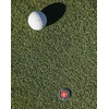 image:imageVortex 3Pack Golf Ball Marker SetsFreedom