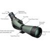 image:imageVortex Optics Diamondback Spotting Scopes2060x80  Angled